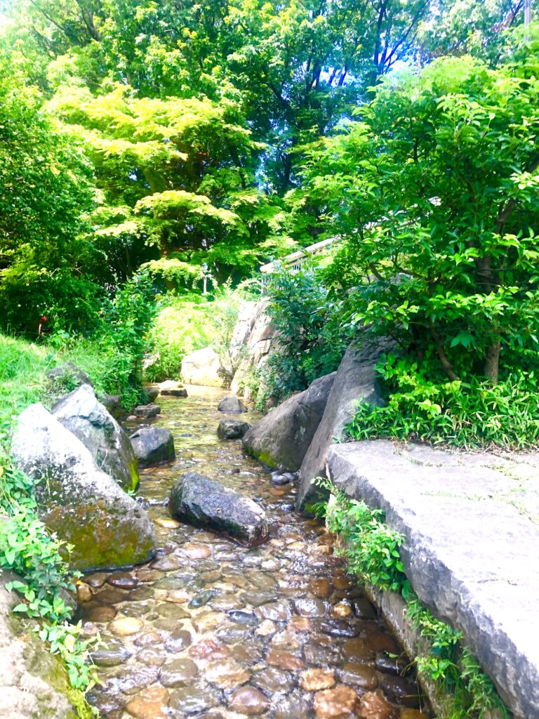 三角公園の神田川